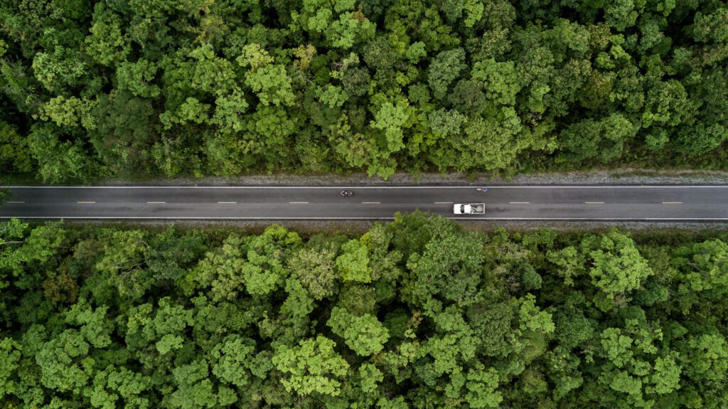 Road,Through,The,Green,Forest,,Aerial,View,Car,Truck,Drive